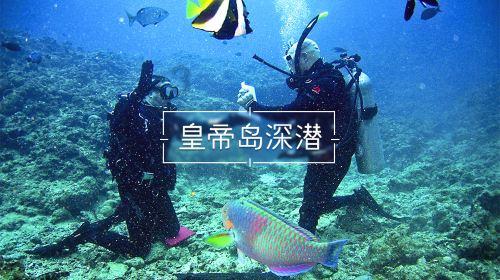 海盗的寻宝之旅